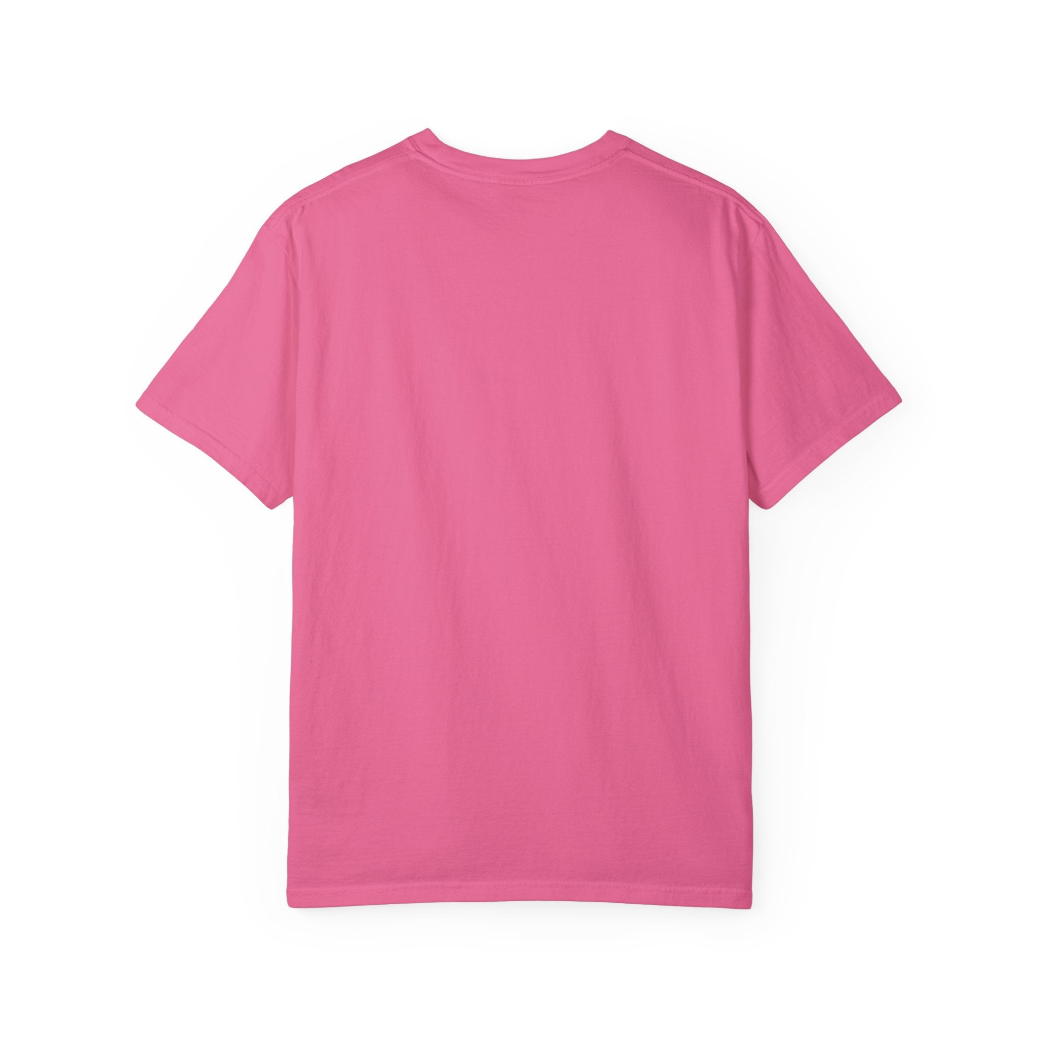 Greenville Rainbow T-shirt