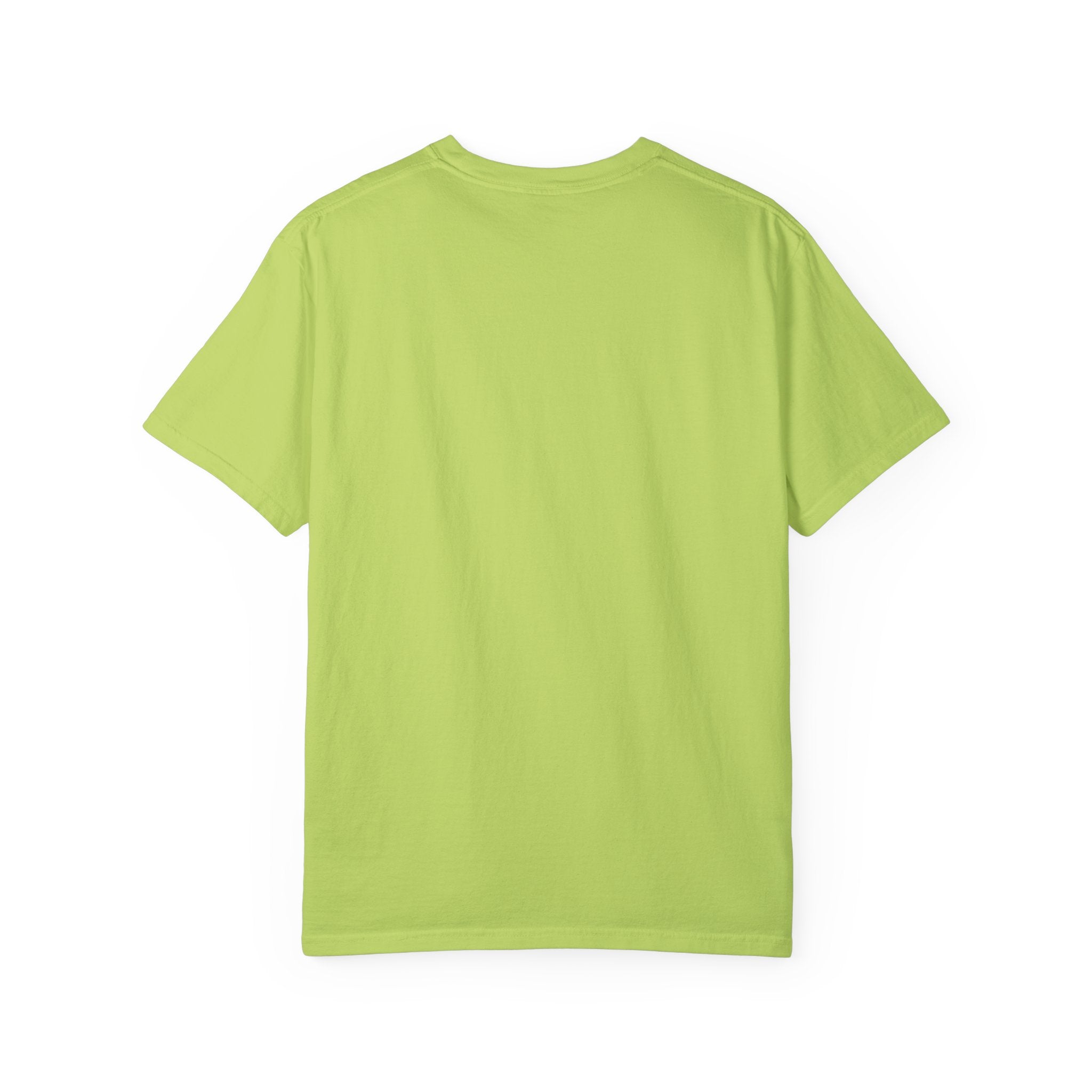 Greenville Rainbow T-shirt