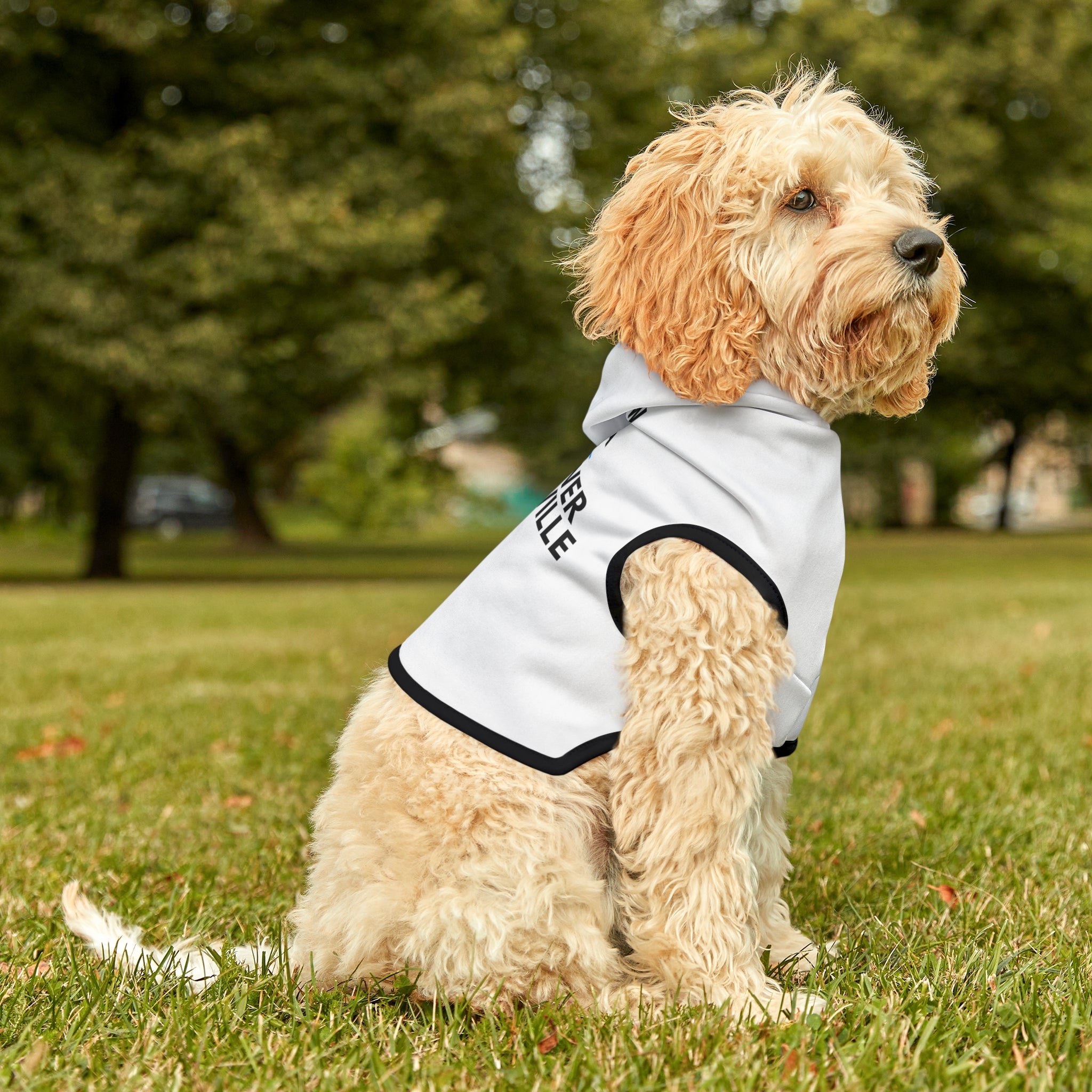 Follow Me to a Patio Dog Hoodie - Friends of Lower Greenville