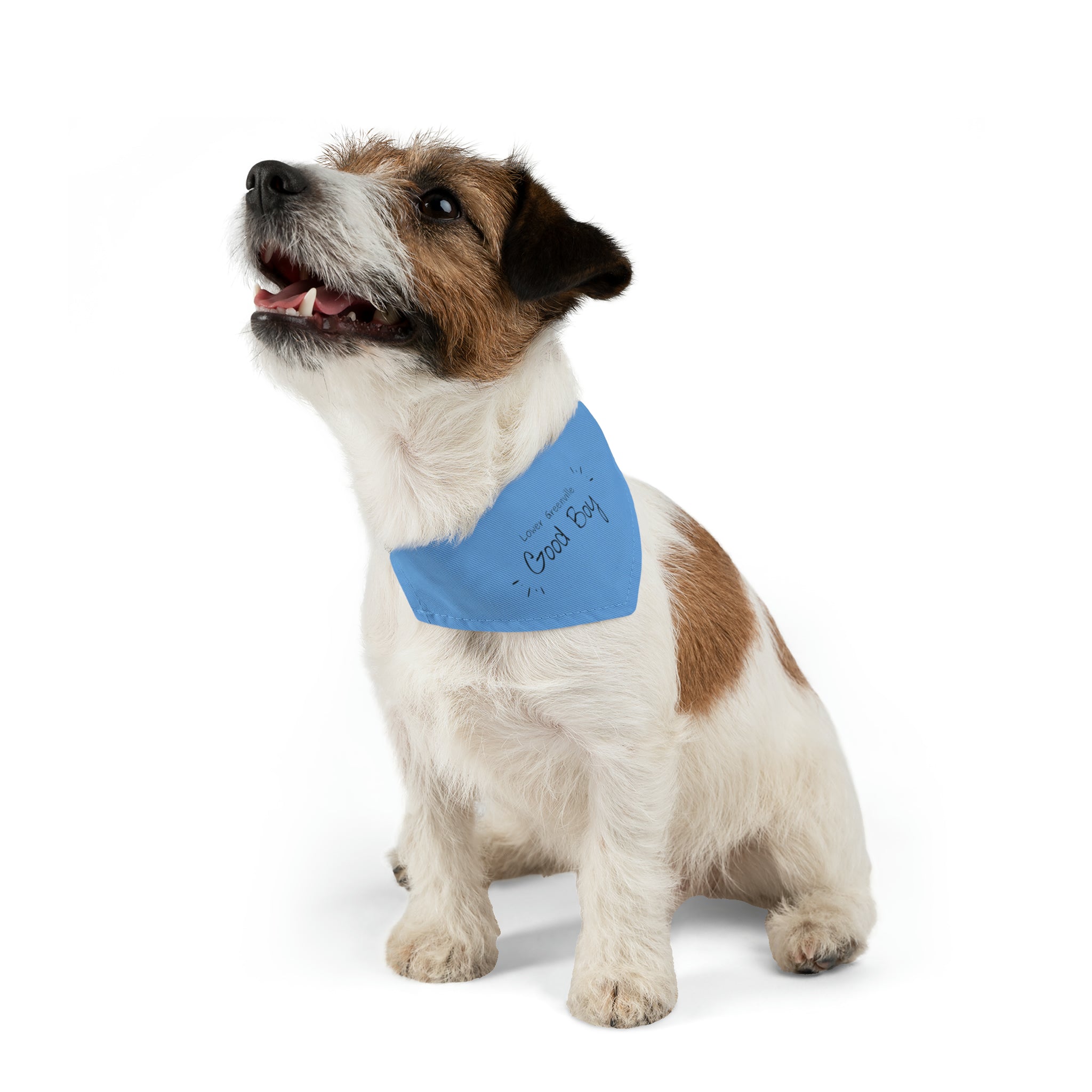 Lower Greenville Good Boy Pet Bandana Collar - Friends of Lower Greenville