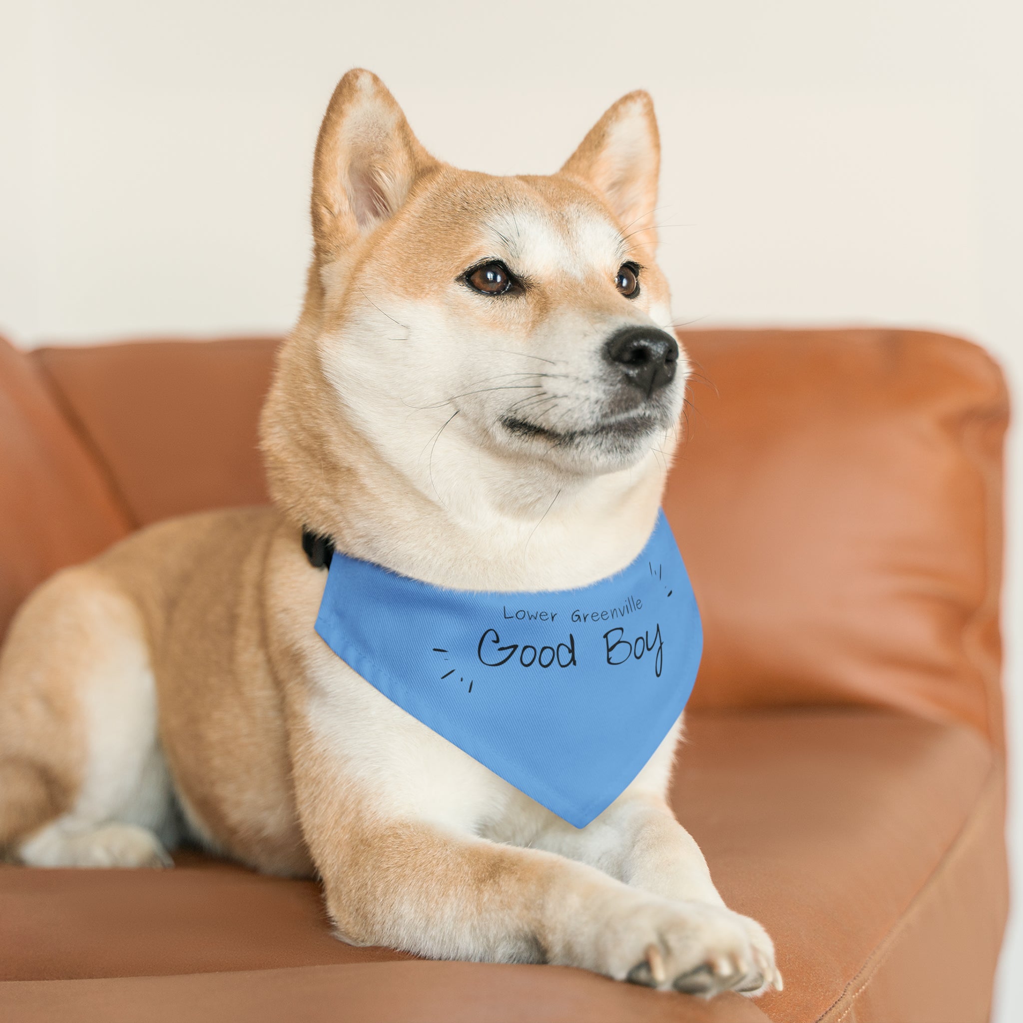 Lower Greenville Good Boy Pet Bandana Collar - Friends of Lower Greenville