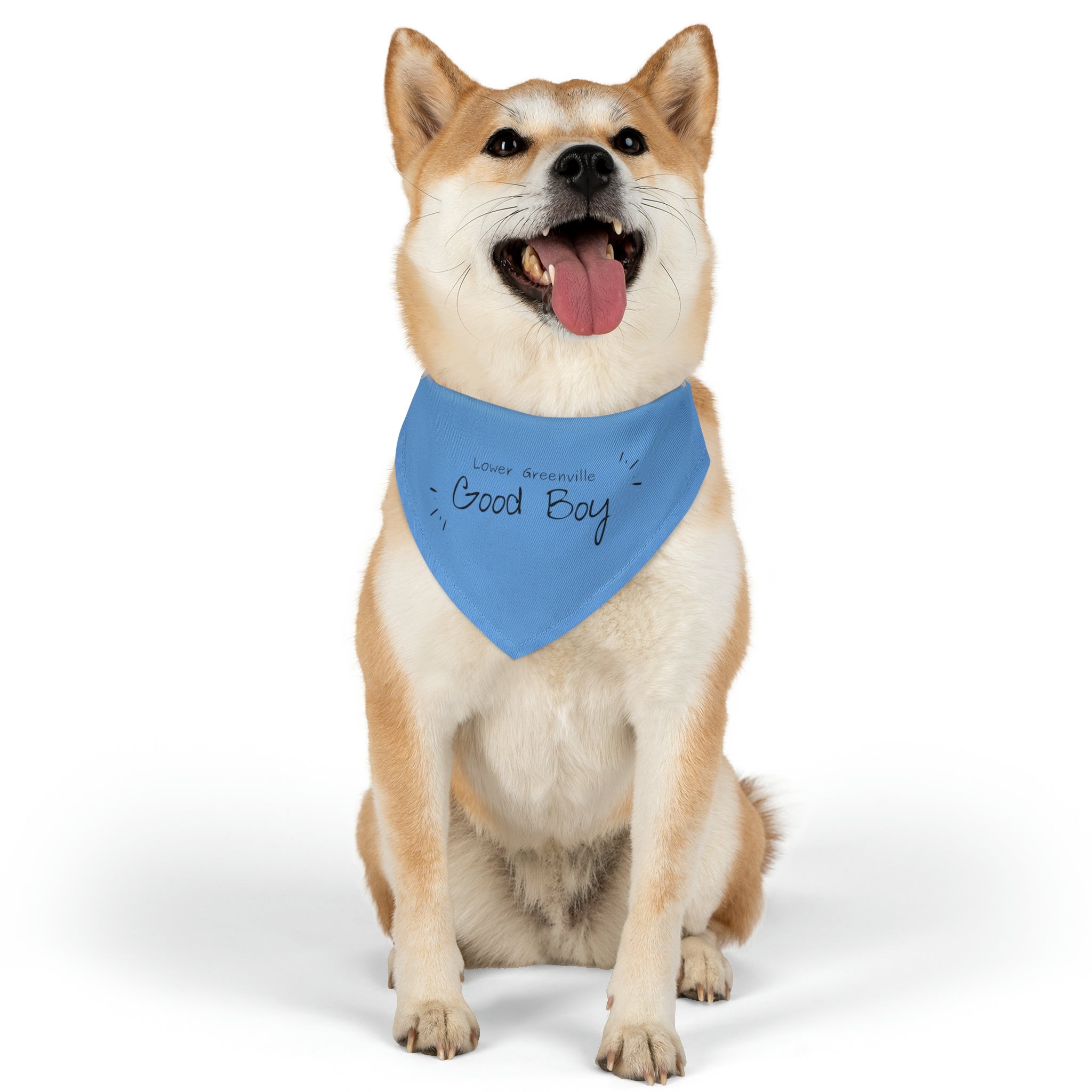 Lower Greenville Good Boy Pet Bandana Collar - Friends of Lower Greenville