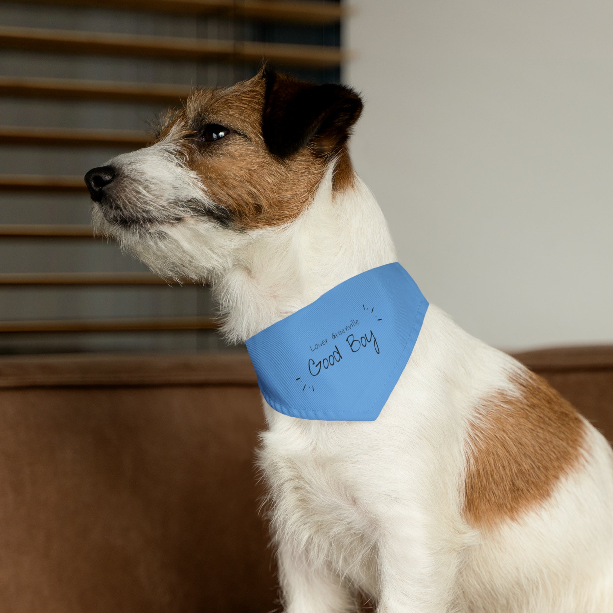 Lower Greenville Good Boy Pet Bandana Collar - Friends of Lower Greenville