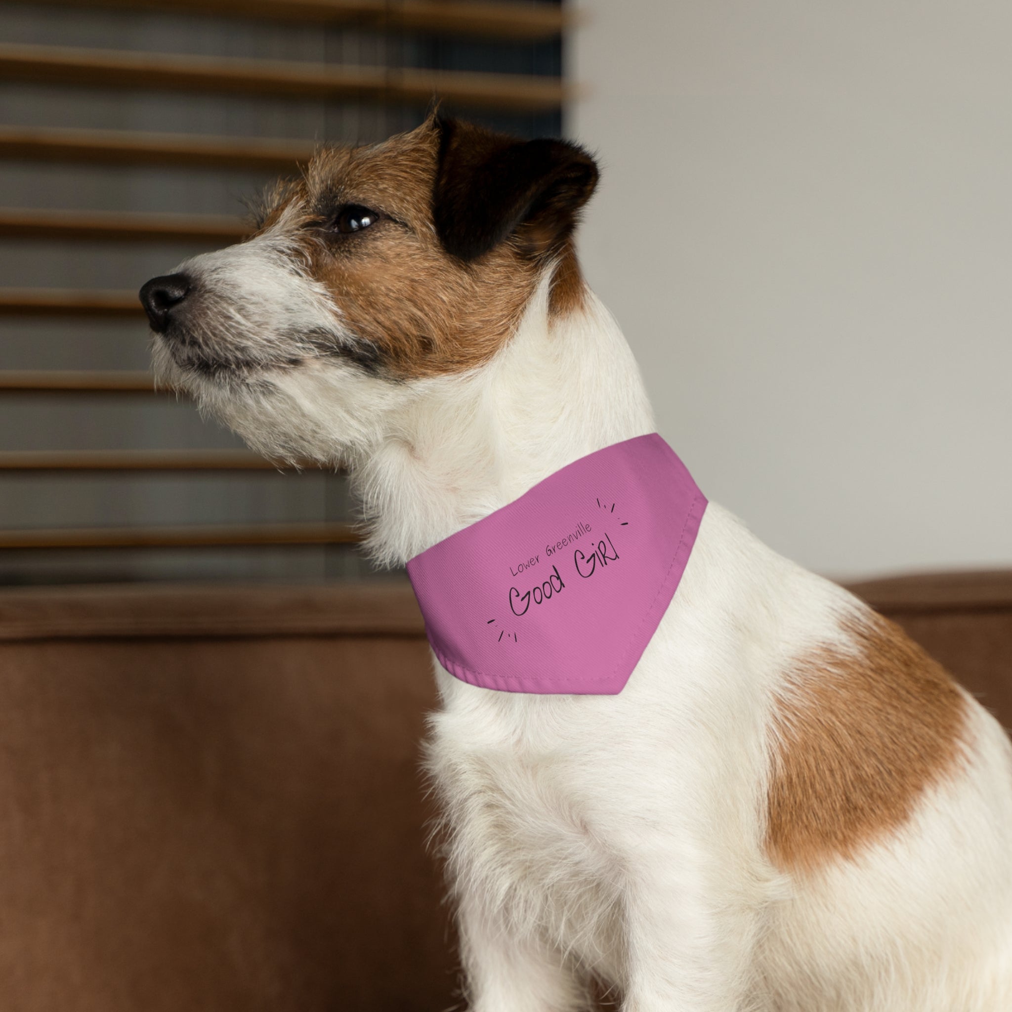 Lower Greenville Good Girl Pet Bandana Collar - Friends of Lower Greenville
