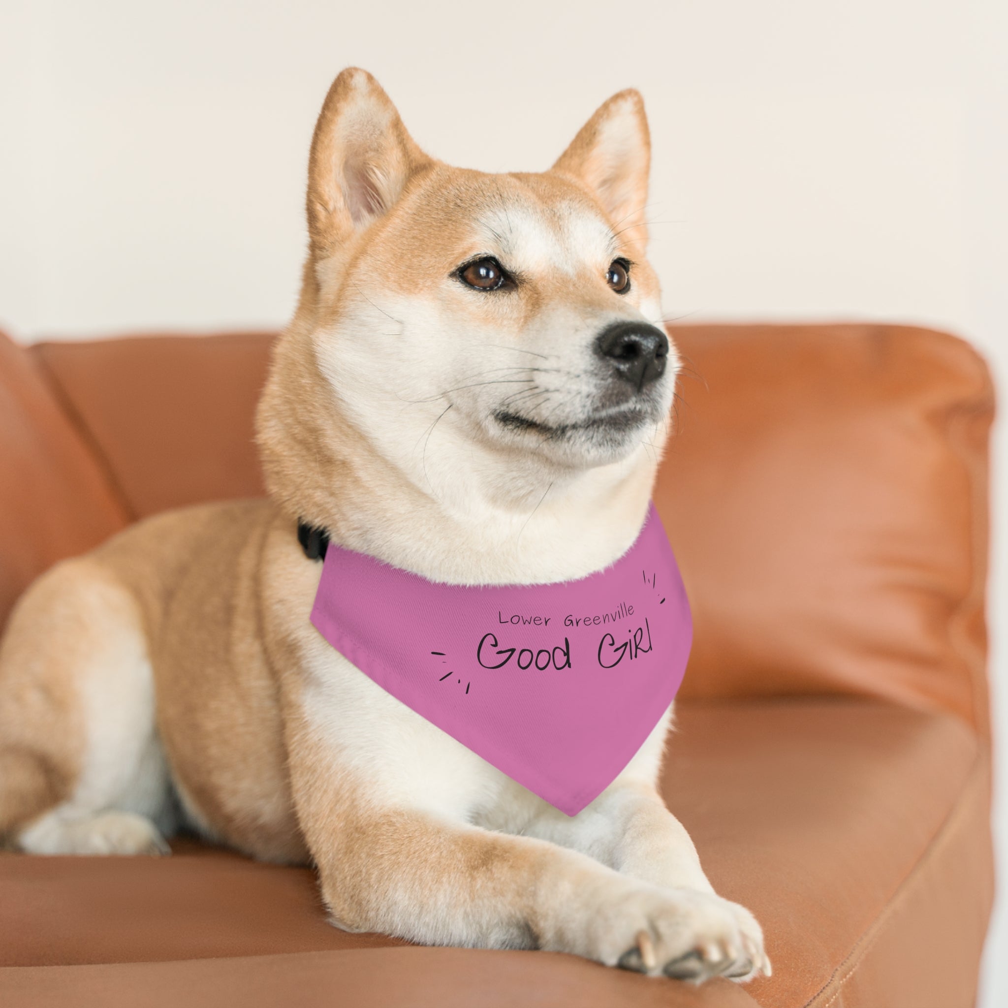 Lower Greenville Good Girl Pet Bandana Collar - Friends of Lower Greenville