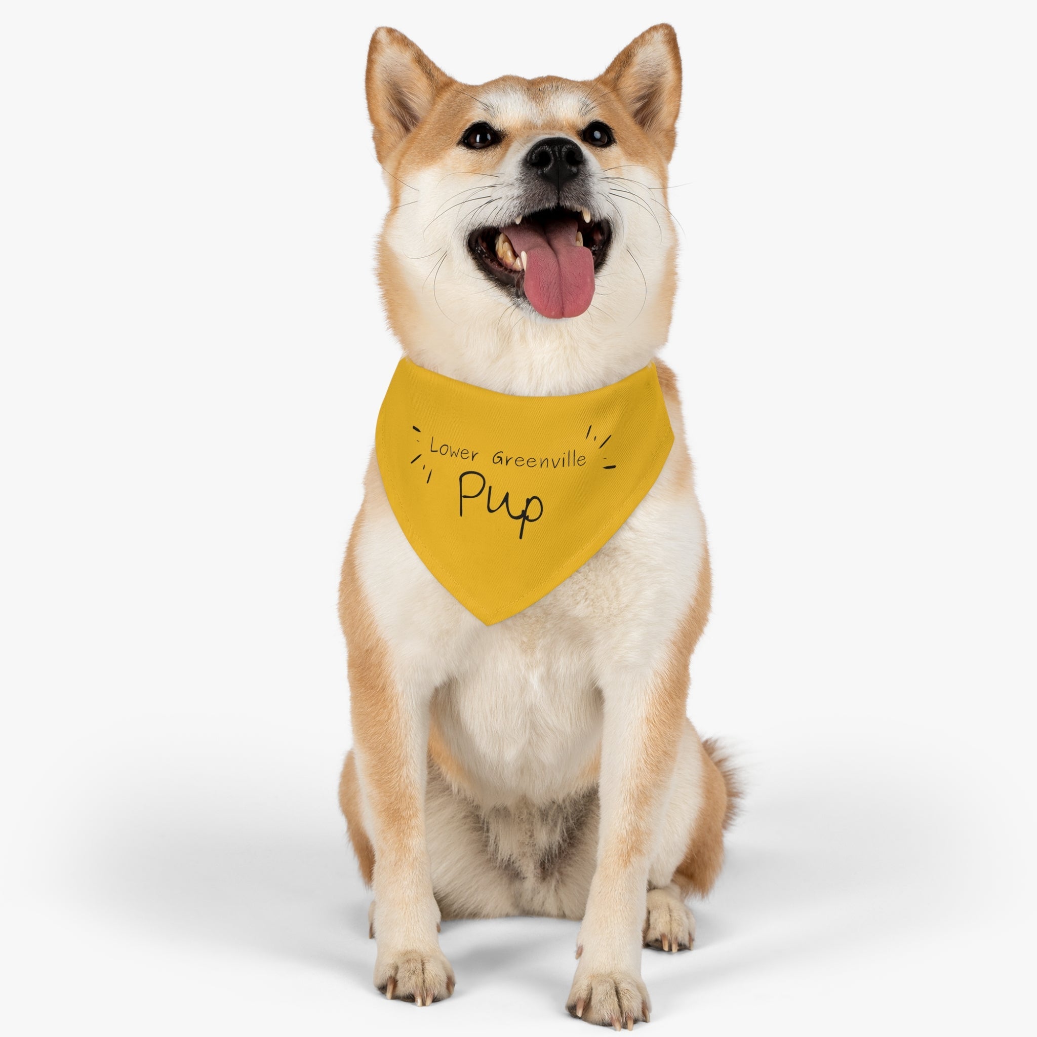 Lower Greenville Pup Pet Bandana Collar - Friends of Lower Greenville