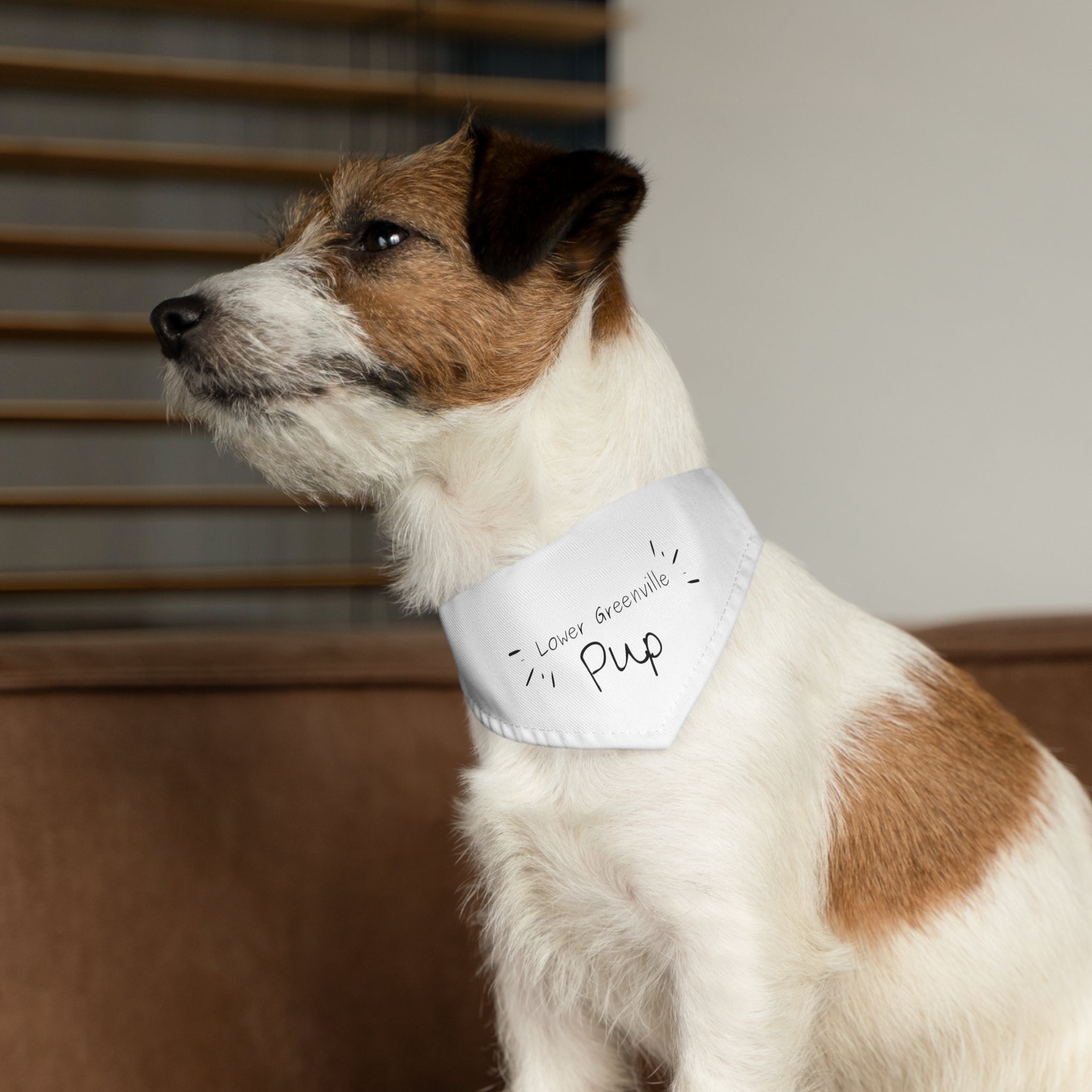 Lower Greenville Pup Pet Bandana Collar - Friends of Lower Greenville