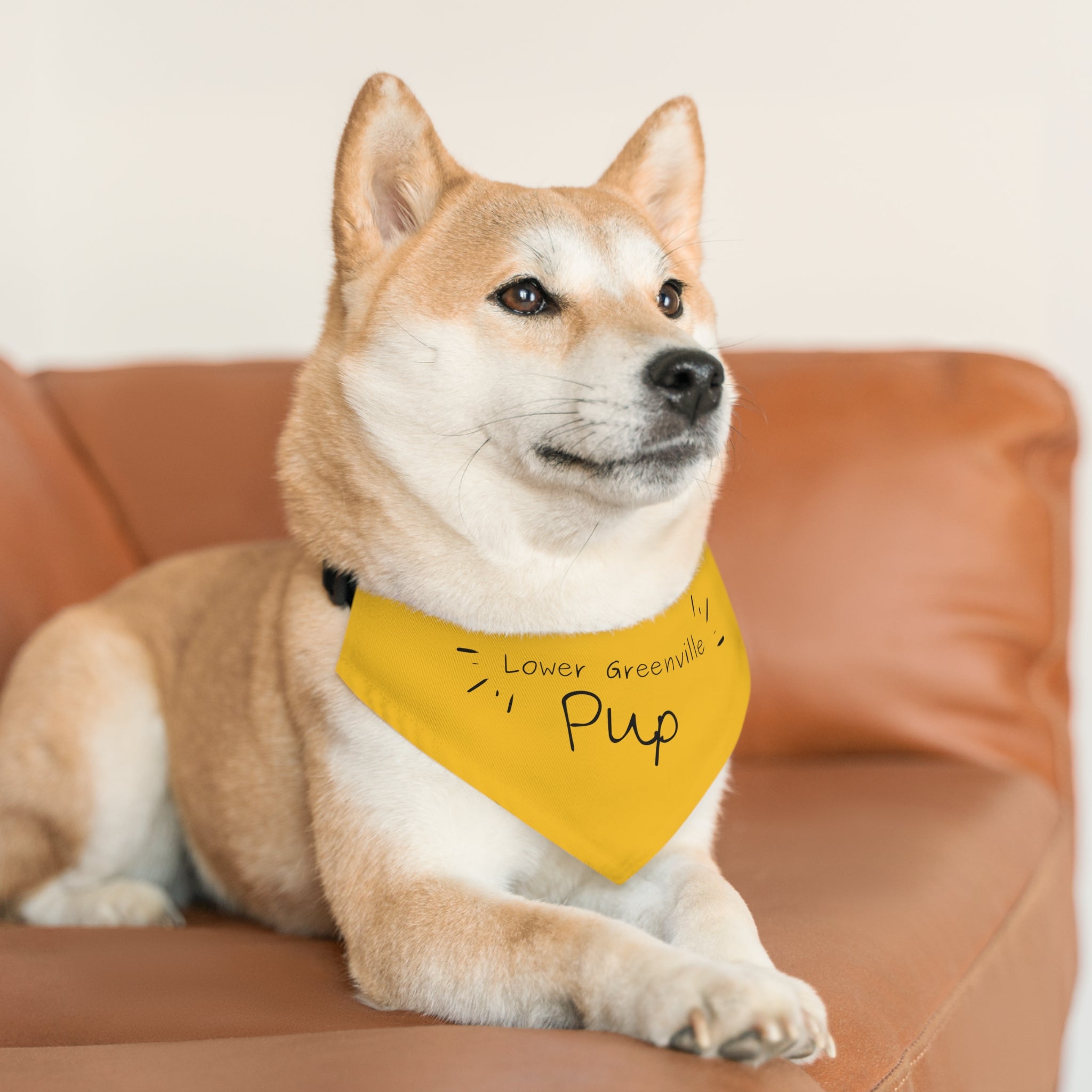 Lower Greenville Pup Pet Bandana Collar - Friends of Lower Greenville