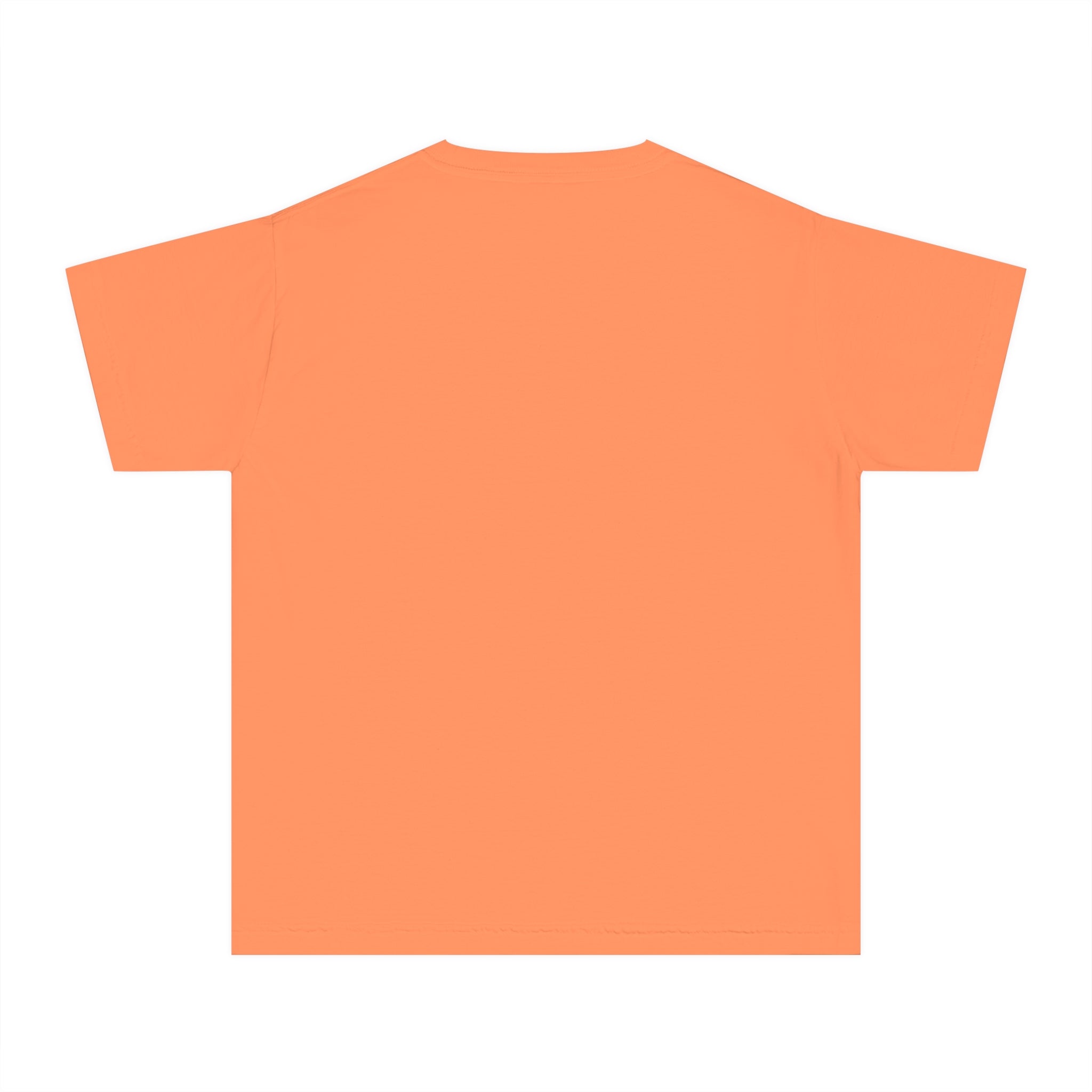Rainbow Lower Greenville Youth T-shirt - Friends of Lower Greenville