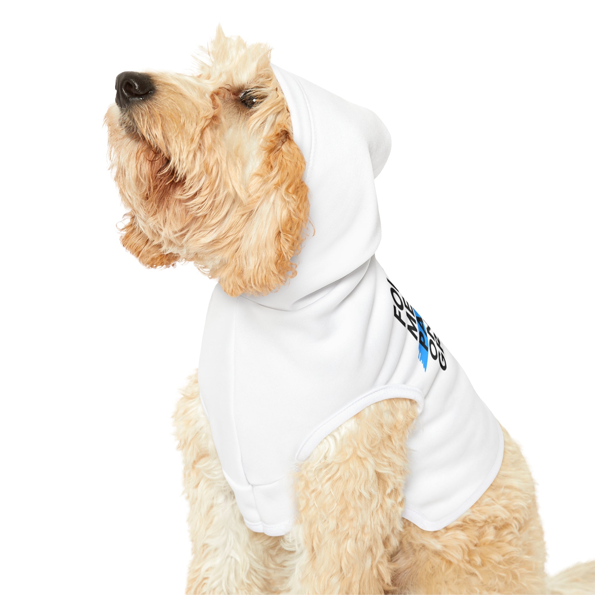 Follow Me to a Patio Dog Hoodie - Friends of Lower Greenville