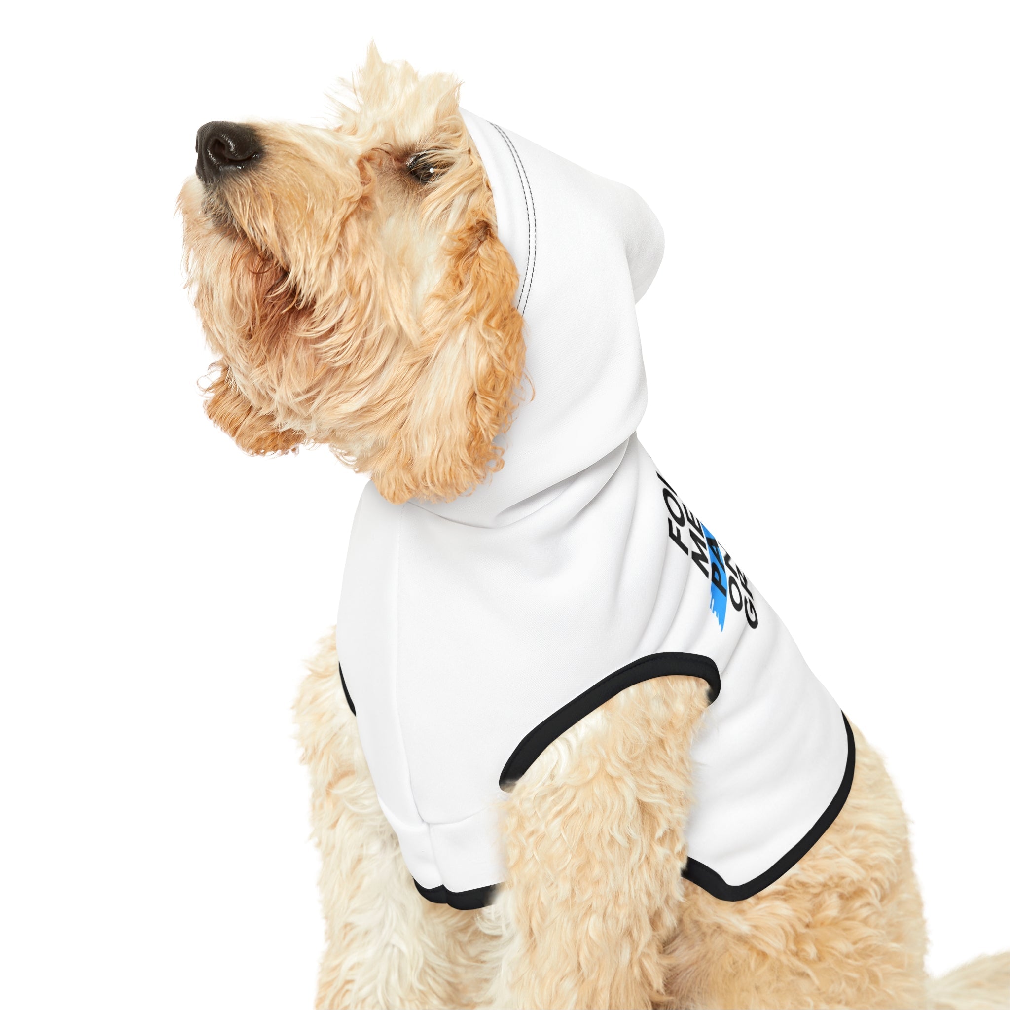 Follow Me to a Patio Dog Hoodie - Friends of Lower Greenville