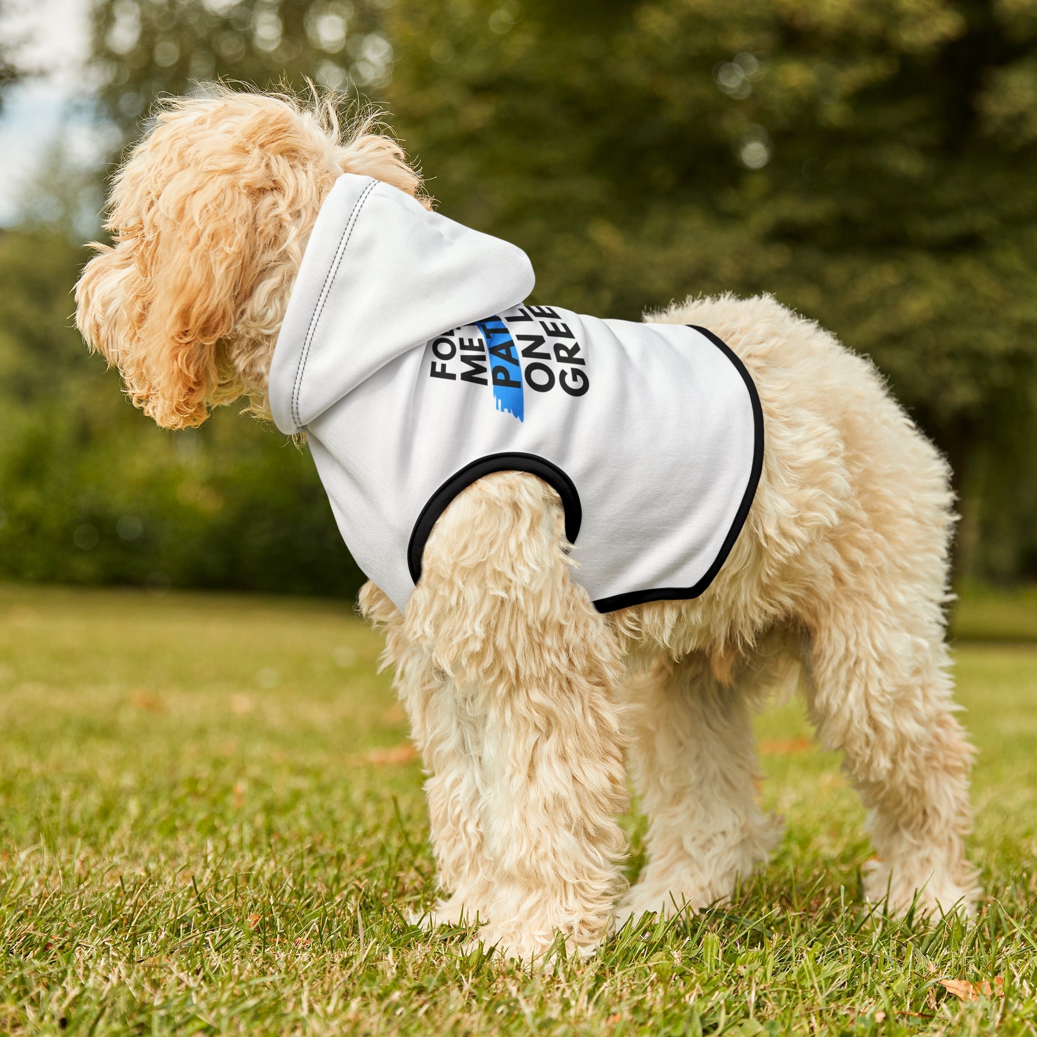 Follow Me to a Patio Dog Hoodie - Friends of Lower Greenville