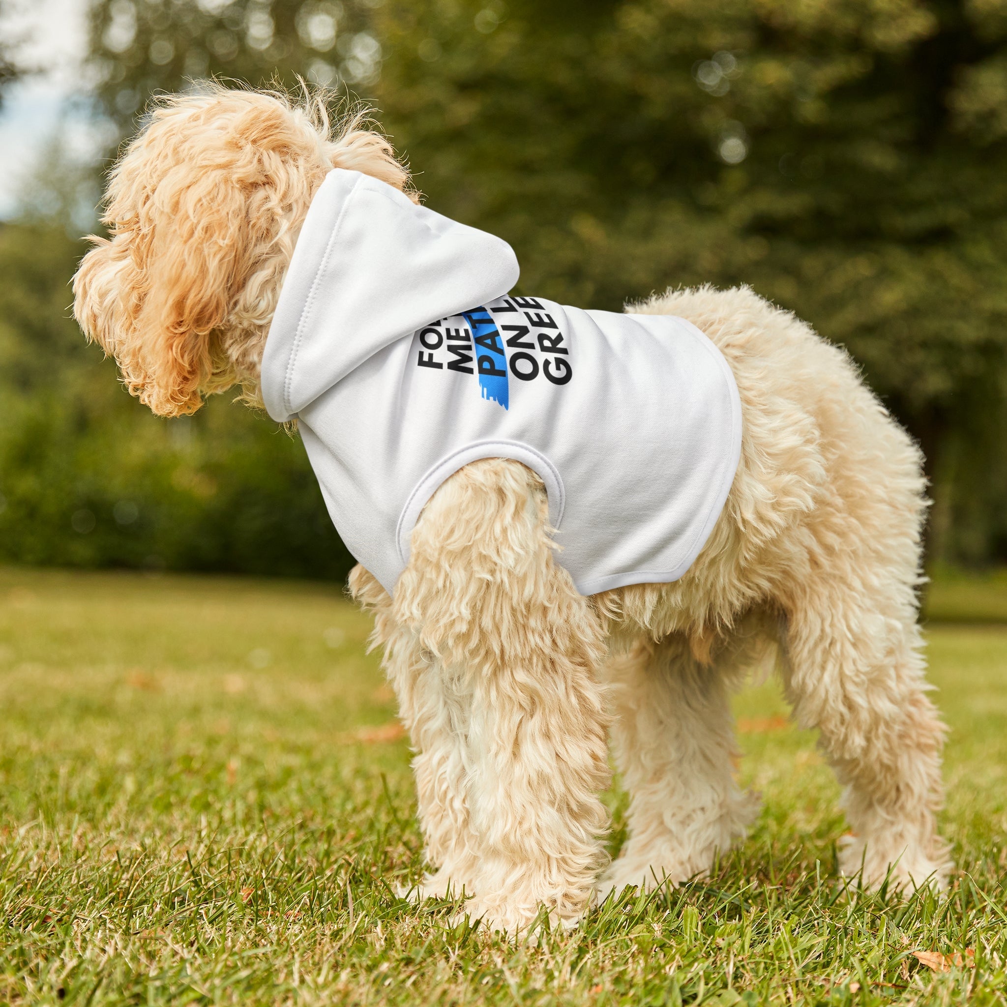 Follow Me to a Patio Dog Hoodie - Friends of Lower Greenville